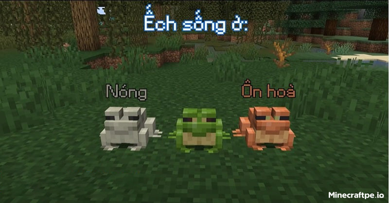 Tải Minecraft Beta 1.19.0.20 APK Tiếng Việt Miễn Phí