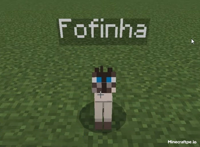 Tải Minecraft 1.19.21 APK Tiếng Việt Miễn Phí