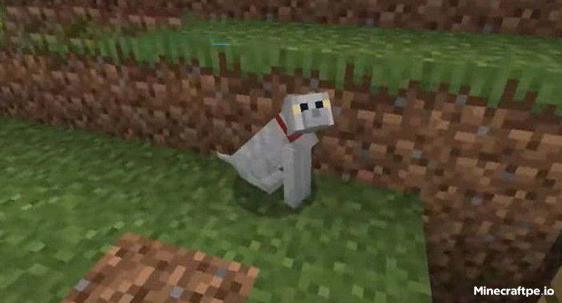 Tải Minecraft BETA 1.19.30.20 APK Tiếng Việt Miễn Phí