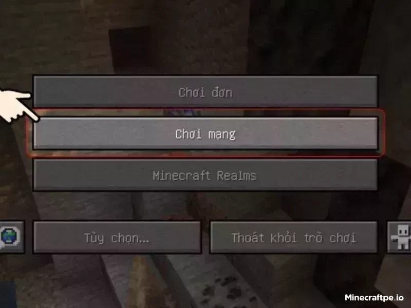 Nhấn chọn vào Chơi mạng