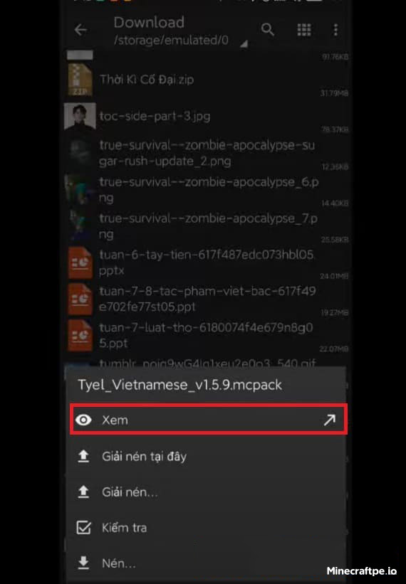 Hướng dẫn cài Tyel Vietnamese Pack vào Minecraft PE