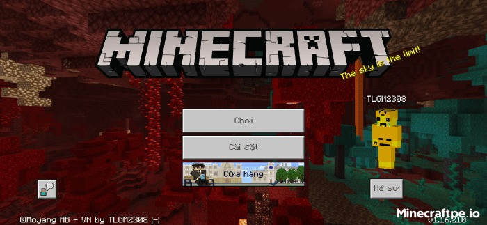 Hướng dẫn cài Tyel Vietnamese Pack vào Minecraft PE