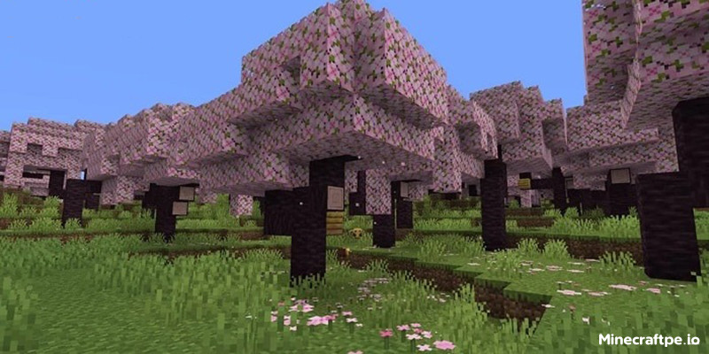 Tải Minecraft BETA 1.19.80.23 APK Tiếng Việt cho Android