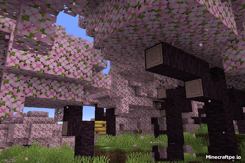 Tải Minecraft BETA 1.19.80.24 APK Tiếng Việt cho Android