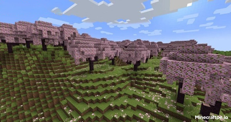 Tải Minecraft 1.19.80 APK Tiếng Việt Miễn Phí