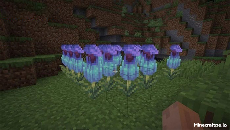 Tải Minecraft 1.19.81 APK Tiếng Việt Miễn Phí