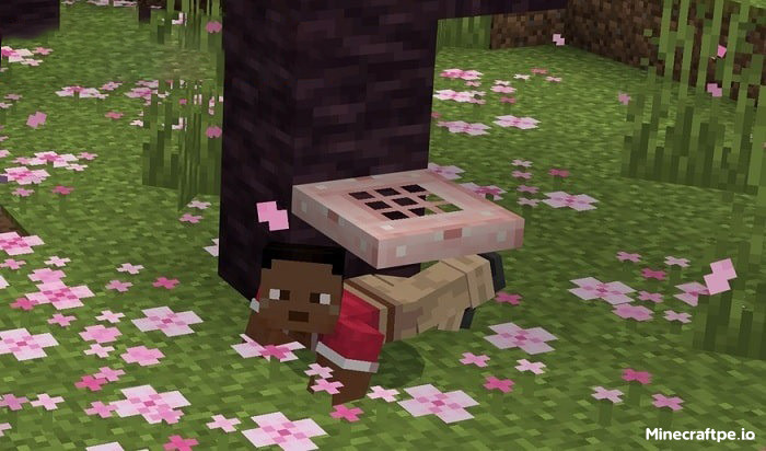 Tải Minecraft BETA 1.20.10.24 APK Tiếng Việt Miễn Phí