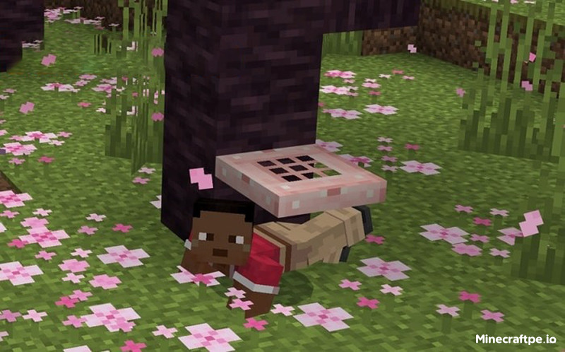 Tải Minecraft BETA 1.20.10.20 APK Tiếng Việt Miễn Phí