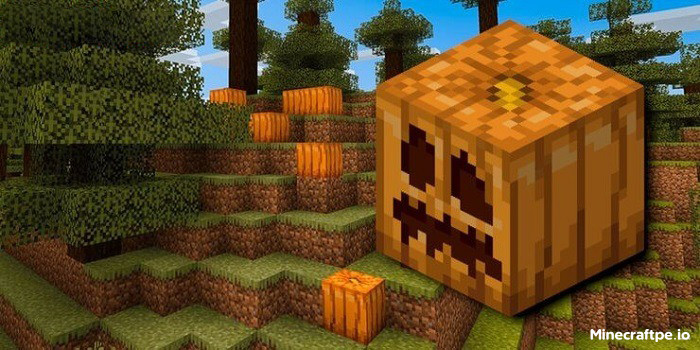 Tải Minecraft BETA 1.20.10.23 APK Tiếng Việt Miễn Phí