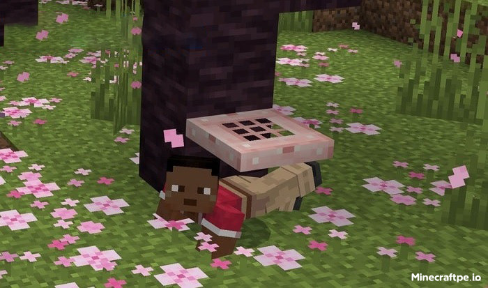 Tải Minecraft 1.20.10 APK Tiếng Việt Miễn Phí 