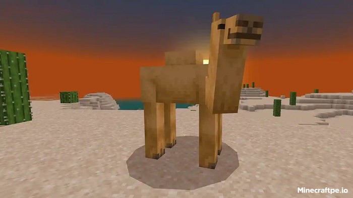 Tải Minecraft BETA 1.20.20.21 APK Tiếng Việt Miễn Phí