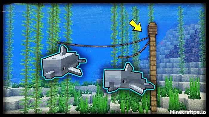 Tải Minecraft BETA 1.20.30.24 APK Tiếng Việt cho Android