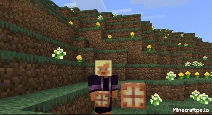 Tải Minecraft BETA 1.20.50.23 APK Tiếng Việt cho Android