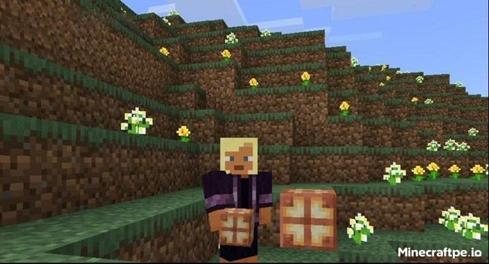 Tải Minecraft BETA 1.20.50.24 APK Tiếng Việt cho Android