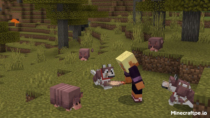 Tải Minecraft BETA 1.20.60.23 APK Miễn Phí cho Android