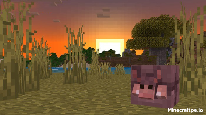 Tải Minecraft BETA 1.20.60.26 APK có Tiếng Việt cho Android