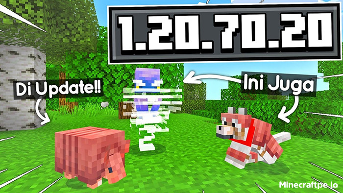Tải Minecraft BETA 1.20.70.20 APK Tiếng Việt cho Android