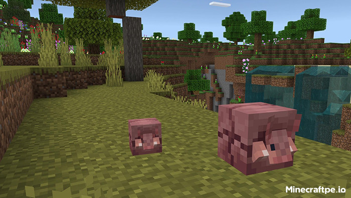 Tải Minecraft BETA 1.20.70.22 APK có Tiếng Việt cho Android