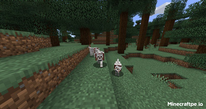 Tải Minecraft 1.20.71 APK Tiếng Việt Miễn Phí