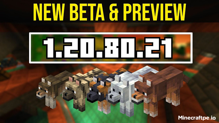 Tải Minecraft BETA 1.20.80.21 APK Tiếng Việt Miễn Phí