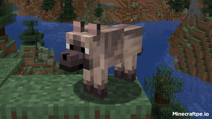 Tải Minecraft BETA 1.20.80.23 APK Tiếng Việt Miễn Phí