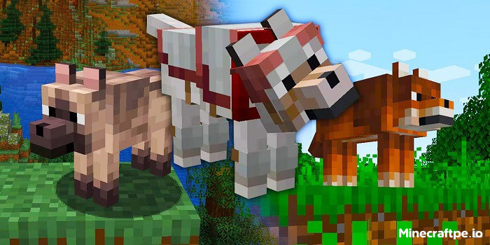 Tải Minecraft 1.20.80 APK Tiếng Việt Miễn Phí