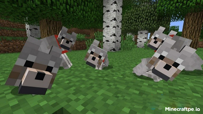 Tải Minecraft 1.20.81 APK Tiếng Việt Miễn Phí