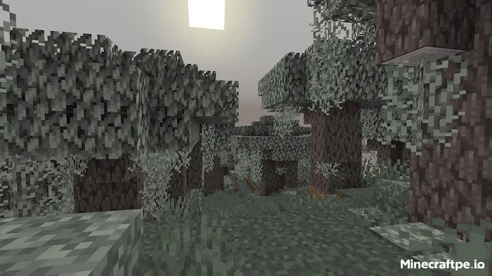 Tải Minecraft BETA 1.21.50.30 APK Tiếng Việt Miễn Phí