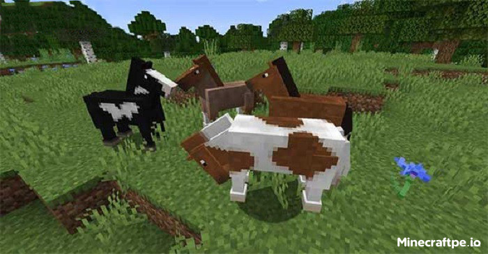 Tải Minecraft BETA 1.21.60.20 APK Tiếng Việt Miễn Phí