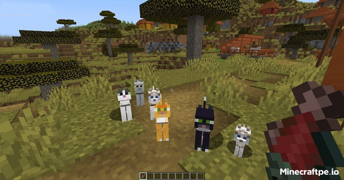 Tải Minecraft BETA 1.21.60.21 APK Tiếng Việt Miễn Phí