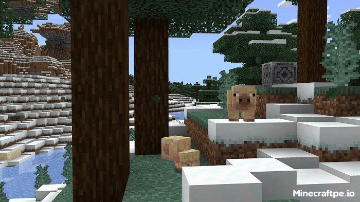 Tải Minecraft BETA 1.21.60.25 APK Tiếng Việt Miễn Phí