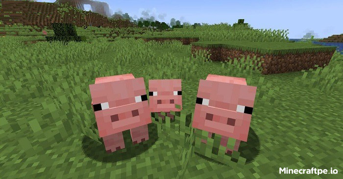 Tải Minecraft BETA 1.21.60.27 APK Tiếng Việt Miễn Phí