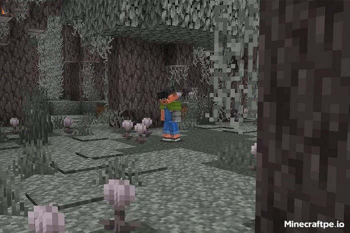 Tải Minecraft BETA 1.21.60.28 APK Tiếng Việt Miễn Phí