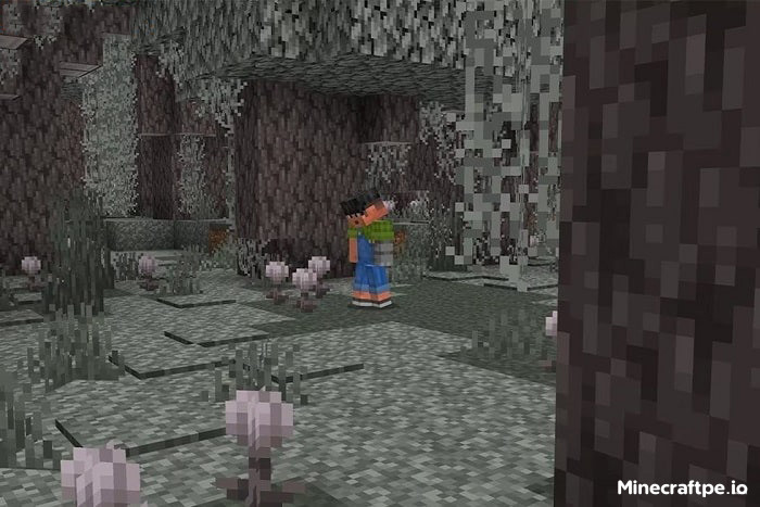 Tải Minecraft 1.21.61 APK Tiếng Việt Miễn Phí