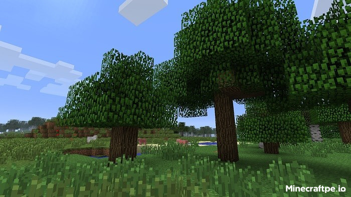 Tải Minecraft 1.21.62 APK Tiếng Việt Miễn Phí