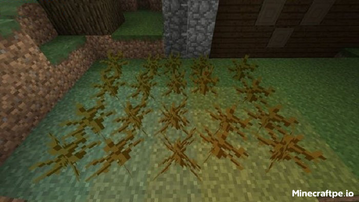 Tải Minecraft BETA 1.21.70.20 APK Tiếng Việt Miễn Phí