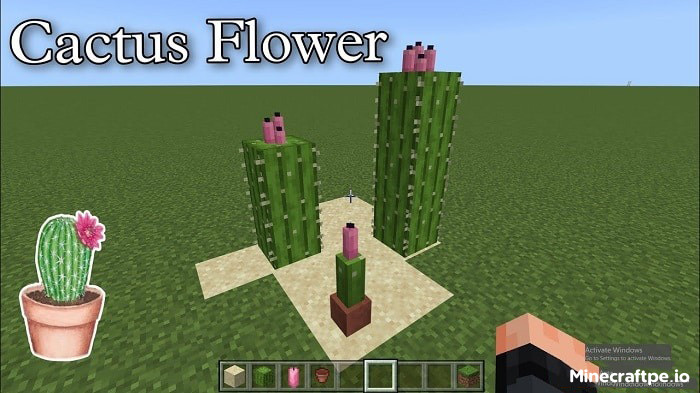 Tải Minecraft BETA 1.21.70.22 APK Tiếng Việt Miễn Phí