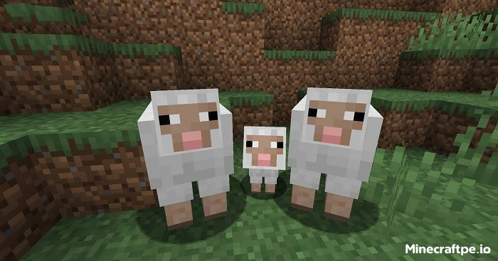 Tải Minecraft BETA 1.21.70.24 APK Tiếng Việt Miễn Phí 