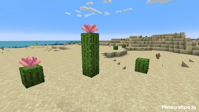 Tải Minecraft BETA 1.21.70.24 APK Tiếng Việt Miễn Phí 