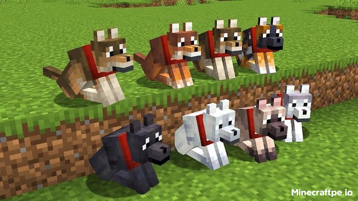 Tải Minecraft BETA 1.21.70.25 APK Tiếng Việt Miễn Phí