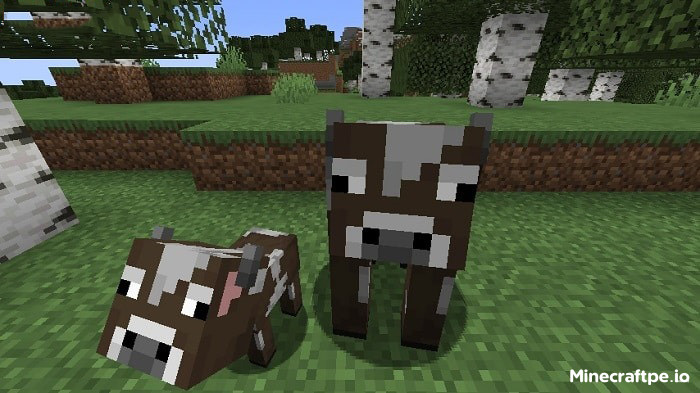 Tải Minecraft BETA 1.21.70.25 APK Tiếng Việt Miễn Phí