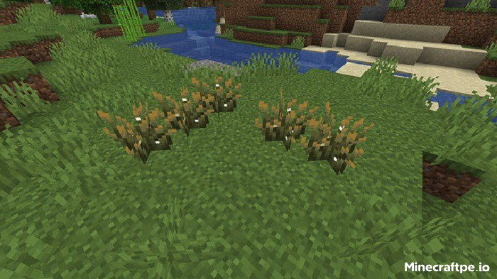 Tải Minecraft 1.21.70 APK Tiếng Việt Miễn Phí