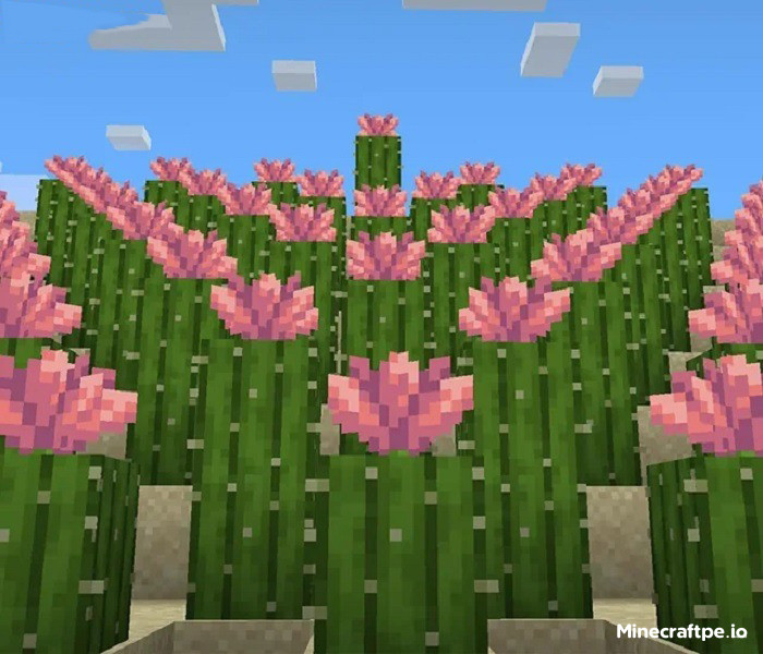 Tải Minecraft 1.21.70 APK Tiếng Việt Miễn Phí