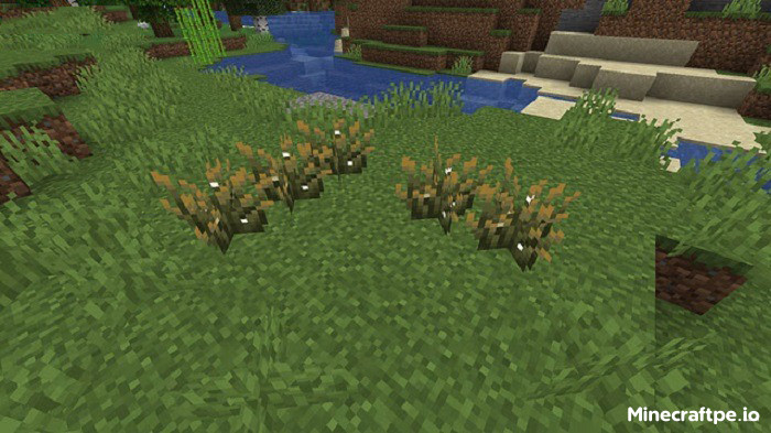 Tải Minecraft 1.21.72 APK Tiếng Việt Miễn Phí