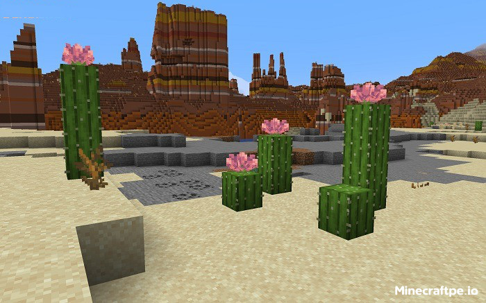 Tải Minecraft 1.21.72 APK Tiếng Việt Miễn Phí