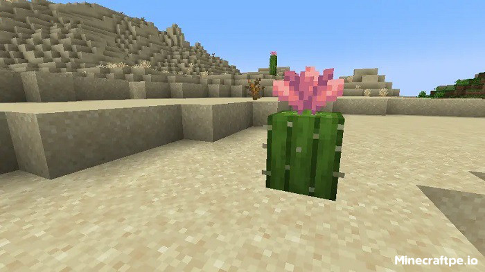 Tải Minecraft BETA 1.21.80.20 APK Tiếng Việt Miễn Phí