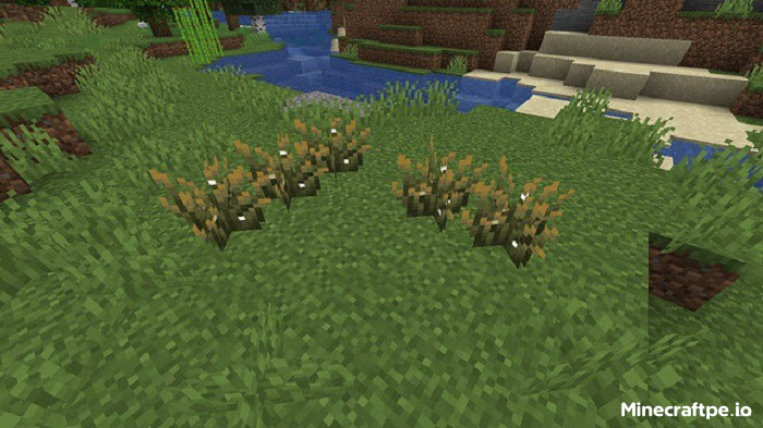 Tải Minecraft BETA 1.21.80.20 APK Tiếng Việt Miễn Phí