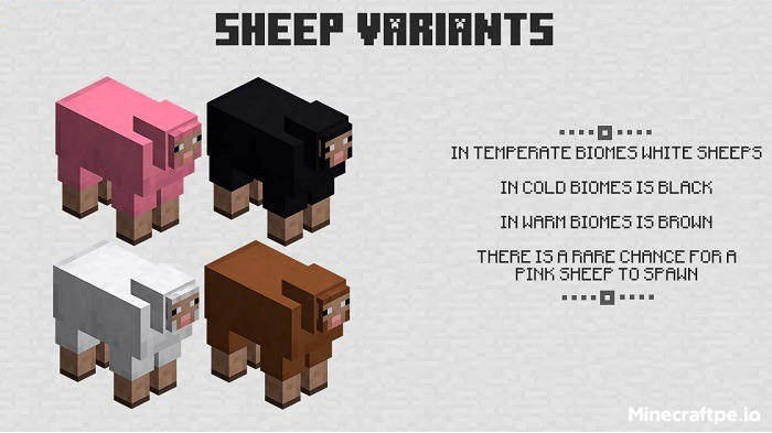 Tải Minecraft BETA 1.21.80.21 APK Tiếng Việt Miễn Phí