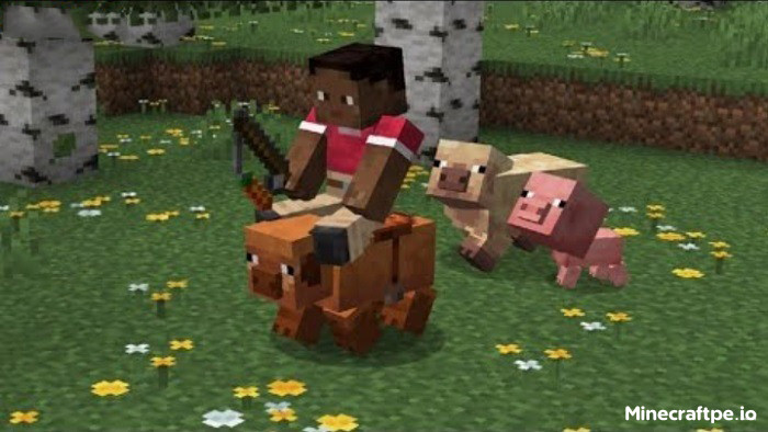 Tải Minecraft BETA 1.21.80.21 APK Tiếng Việt Miễn Phí