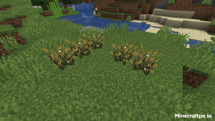 Tải Minecraft BETA 1.21.80.22 APK Tiếng Việt Miễn Phí